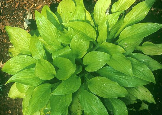 Prairieland Memories