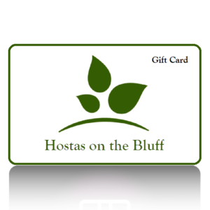 eGift Card